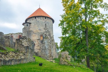 Eski şehir, şehir, kale ve park Cesis, Letonya. 2017