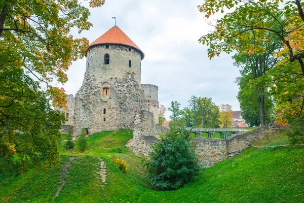 Casco antiguo, ciudad, castillo y parque en Cesis, Letonia. 2017 — Foto de Stock