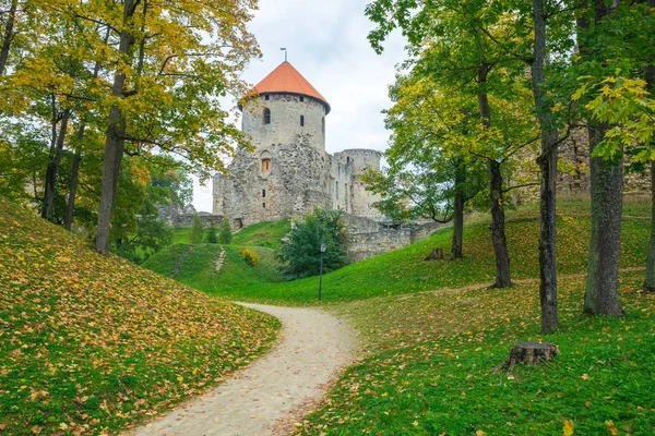 Oude stad, stad, kasteel en park in Cesis, Letland. 2017 — Stockfoto