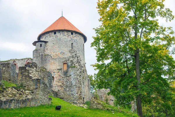 Oude stad, stad, kasteel en park in Cesis, Letland. 2017 — Stockfoto