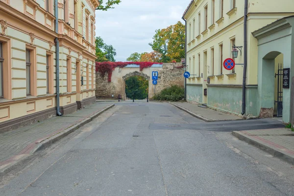 Vieille ville, ville, château et parc à Cesis, Lettonie. 2017 — Photo