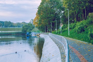 Jugla gölde Riga, Sonbahar, sarı ağaç yaprak. 2017