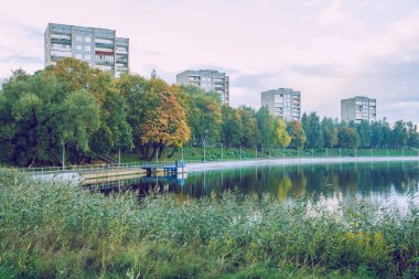 Jugla gölde Riga, Sonbahar, sarı ağaç yaprak. 2017