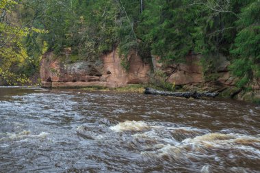 Nehir Amata ağaçlar, Sonbahar, sarı, yüksek tepe görüntüleyin. 2017