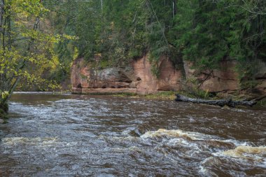 Nehir Amata ağaçlar, Sonbahar, sarı, yüksek tepe görüntüleyin. 2017