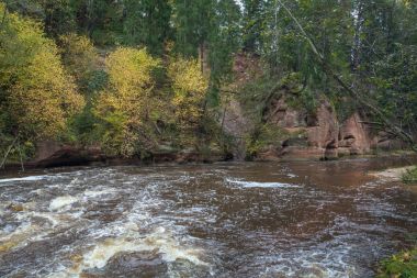 Nehir Amata ağaçlar, Sonbahar, sarı, yüksek tepe görüntüleyin. 2017