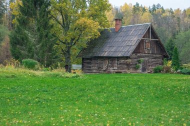 Nehir Amata, Letonya eski evde. Sonbahar, ağaçlar. 2017