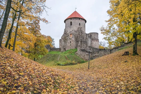 Eski şehir, şehir, Cesis, Letonya castle park. 2017