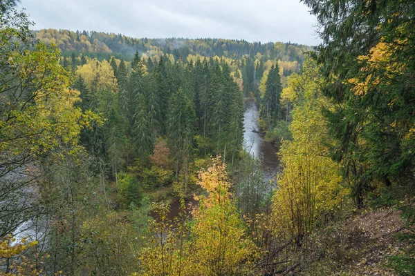 Nehir Amata ağaçlar, Sonbahar, sarı, yüksek tepe görüntüleyin. 2017