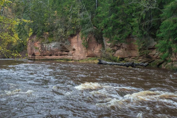 Nehir Amata ağaçlar, Sonbahar, sarı, yüksek tepe görüntüleyin. 2017