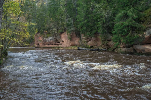 Nehir Amata ağaçlar, Sonbahar, sarı, yüksek tepe görüntüleyin. 2017