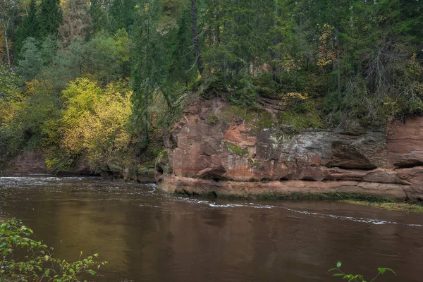 Nehir Amata ağaçlar, Sonbahar, sarı, yüksek tepe görüntüleyin. 2017