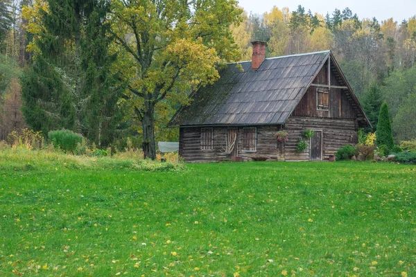 Nehir Amata, Letonya eski evde. Sonbahar, ağaçlar. 2017