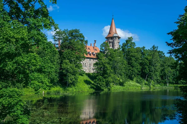 Şehir Cesvaine, eski kalede. Ortaçağ Kalesi 14. yüzyıl. GirllikeiCinsiy