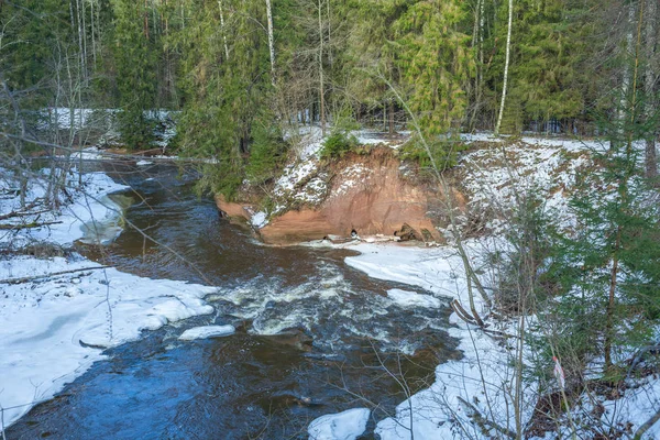 Река Амата зимой, деревья, вода, скалы. Природа, вода, рив — стоковое фото