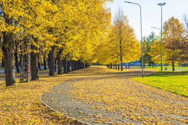 Letonya, Riga, tarihi kent merkezine, halklar ve mimarisi. Sokaklar ve VI