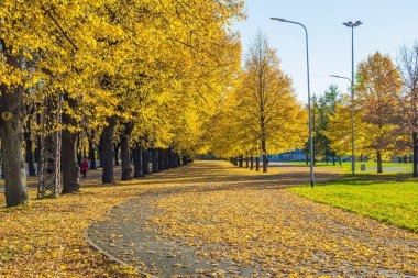 Letonya, Riga, tarihi kent merkezine, halklar ve mimarisi. Sokaklar ve VI