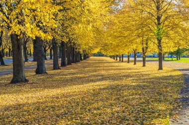 Letonya, Riga, tarihi kent merkezine, halklar ve mimarisi. Sokaklar ve VI