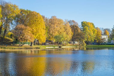 Riga, ilçe agenskalsns gölde. Sonbahar, sarı ağaç yaprakları, 