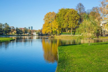 Riga, ilçe agenskalsns gölde. Sonbahar, sarı ağaç yaprakları, 