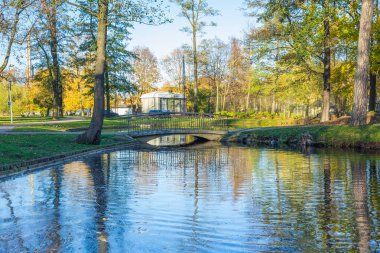 Riga, bölge agenskalsns Arkadijas Park'ta. Sonbahar, sarı tr