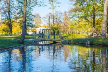 Riga, bölge agenskalsns Arkadijas Park'ta. Sonbahar, sarı tr