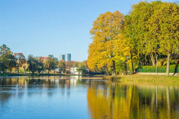 Riga, ilçe agenskalsns gölde. Sonbahar, sarı ağaç yaprakları, 