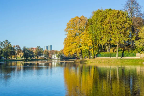 Staw w Rydze, w dzielnicy agenskalsns. Liście drzewa jesień, żółty, — Zdjęcie stockowe