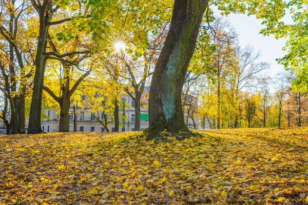 Parque Arkadijas en Riga, distrito agenskalsns. Otoño, tr amarillo — Foto de Stock