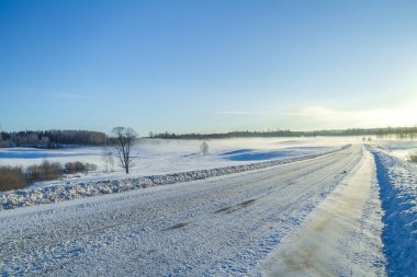 Beyaz kış, sis ve ağaçlar. Sessiz ve güneşli sabah. 2012