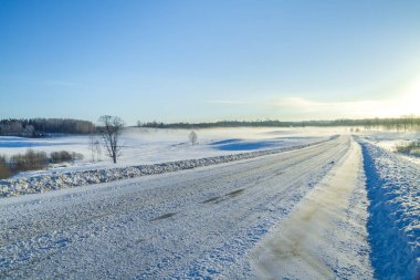 Beyaz kış, sis ve ağaçlar. Sessiz ve güneşli sabah. 2012