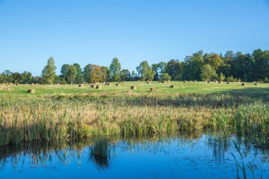 Çayır saman ile sonbahar rulo.
