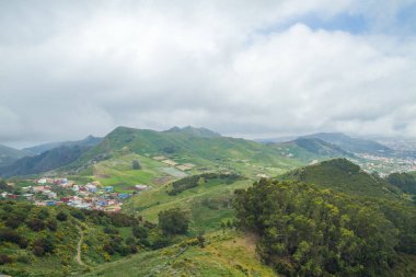 Tepeler ve Tenerife ağaçlara. İspanya.