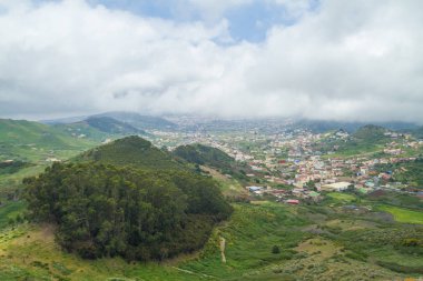 Tepeler ve Tenerife ağaçlara. İspanya.