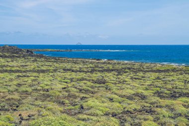 Lanzerote plaj mavi Atlas Okyanusu ile.