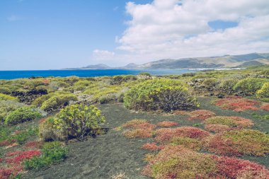 Lanzerote plaj mavi Atlas Okyanusu ile.