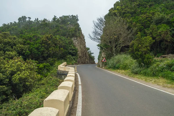 Carretera y árboles en Tenerife. España . —  Fotos de Stock