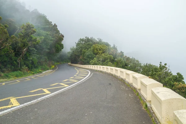 Road och träd på Tenerife. Spanien. — Stockfoto