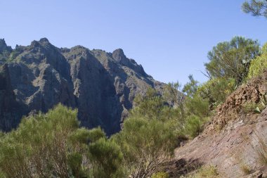 Tenerife güzel sabah.