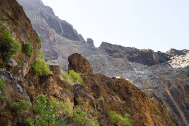 Tenerife, güzel doğası. Güneş ve sıcak hava koşulları.