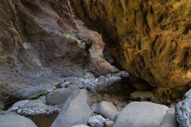 Tenerife, güzel doğası. Güneş ve sıcak hava koşulları.