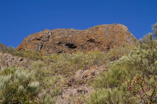 Vackra naturen på Teneriffa. Sol och varmt väder. — Stockfoto