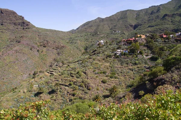 Beautiful nature at Tenerife. Sun and warm weather conditions. — Stock Photo, Image