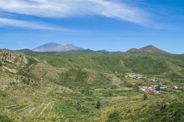 Kullar och träd på Tenerife. Spanien. — Stockfoto