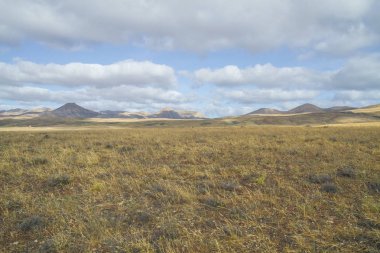 Güneşli Lanzerote güzel bir doğa. Yaz aylarında güneşli gün. 