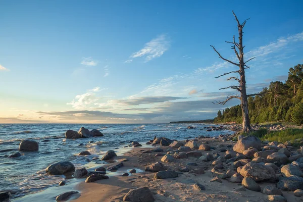 Mer Baltique en Lettonie. Nature, rochers et coucher de soleil . — Photo