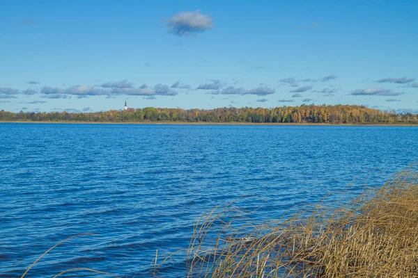 Sonbahar, Letonya gölde. Doğa ve su.