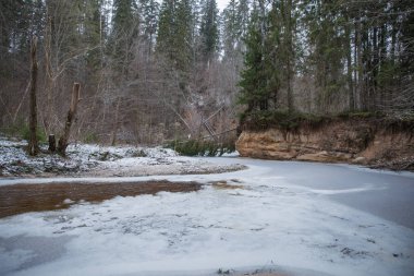 Nehir ve Letonya, ciffs. Güzel doğa.