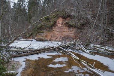 Nehir ve Letonya, ciffs. Güzel doğa.
