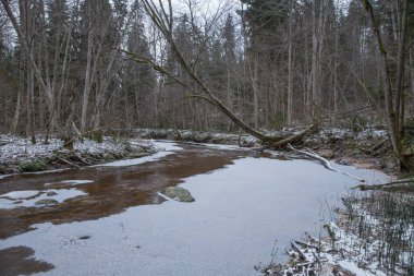 Nehir ve Letonya, ciffs. Güzel doğa.